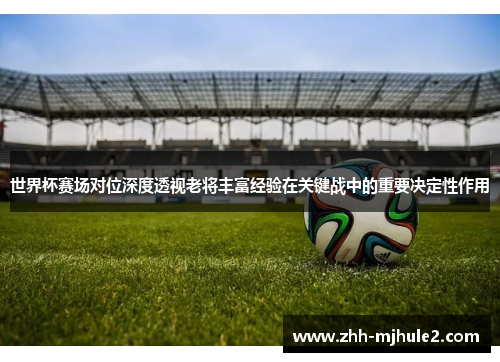 世界杯赛场对位深度透视老将丰富经验在关键战中的重要决定性作用