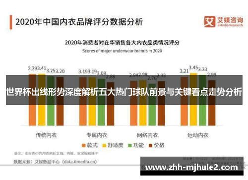 世界杯出线形势深度解析五大热门球队前景与关键看点走势分析