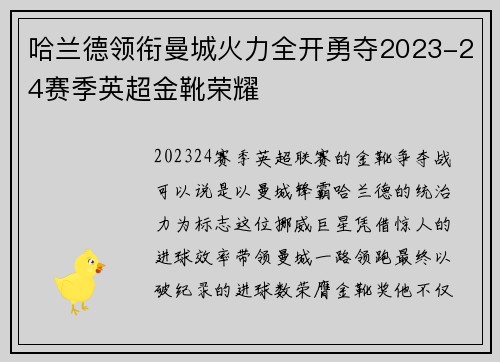 哈兰德领衔曼城火力全开勇夺2023-24赛季英超金靴荣耀