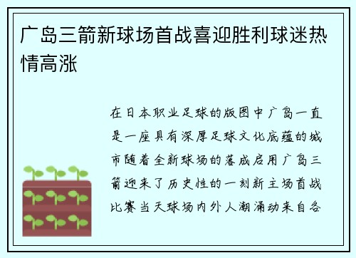 广岛三箭新球场首战喜迎胜利球迷热情高涨 广岛三箭新球场首战喜迎胜利球迷热情高涨