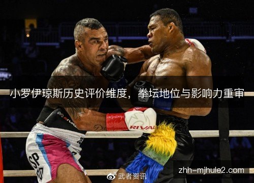 小罗伊琼斯历史评价维度，拳坛地位与影响力重审